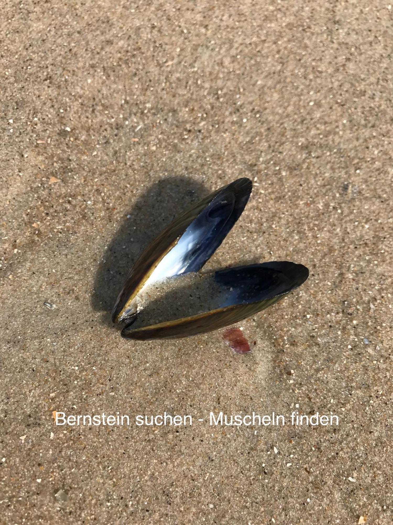 Eschen'S Blick Appartement Aurich Buitenkant foto